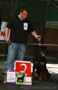 Надёжная защита Вас и вашего имущества #669756