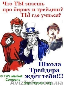 Курсы трейдеров. Секреты профессионального трейдинга в 