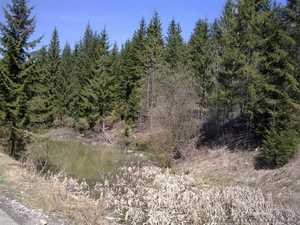 Продам участок  в Карпатах- Яблуница,  новая дорога на