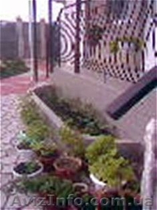 Отдых в Крыму! недорого! #560808