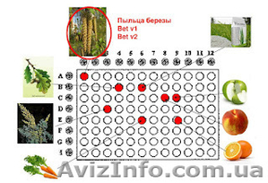 Теперь одесские аллергологи больше не разводят руками! #659021