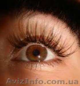  обучение биозавивке ресниц. курсы биозавивки ресниц киев.биозавивка ресниц. #650090