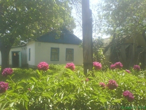 Продаю дом Ленинский пр Мира,  Сортировка г Николаев #667626