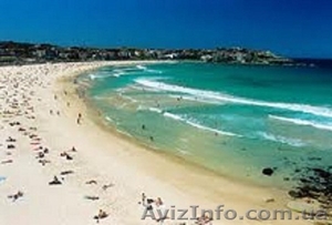 Отдых в Грибовке у моря #664516