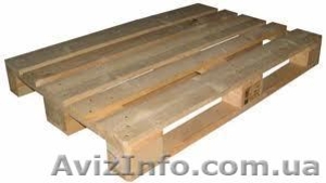 Європіддони                    #649641