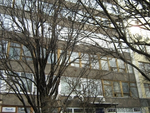 Офис,  202 м. кв.,  в трех минута от м. Научная #644633