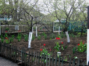 Продам хороший дом с участком #647526