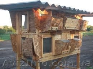 Клетки для кроликов #645981