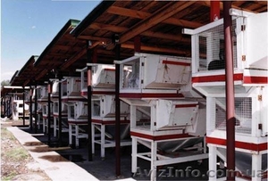 Чертежи кроличьих клеток #645986