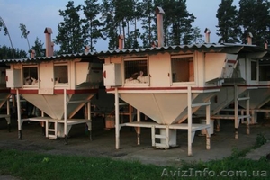 Продам Чертежи миниферм 23 модели,  Михайлова  #645996