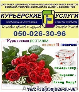 Услуги курьерской доставки. Экспресс-доставка корреспонденции и посылок.  #655962