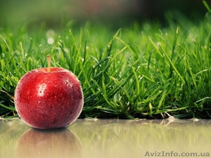 Живая вода и очищение организма #644717