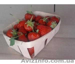 Корзинки лотки для клубники и грибов из шпона,  с Доставкой по Украине. ОПТОМ  #657323