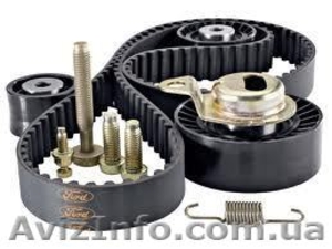 Предлагаю ремни ГРМ,  ремни навесного оборудования,  на все марки #654692