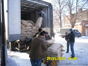  Грузчики, автопереезды быстрее молнии!работаем для вас #668527