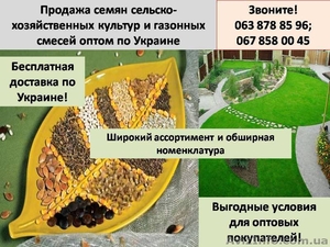 Продажа семян и газонных смесей оптом по Украине с доставкой! #663704