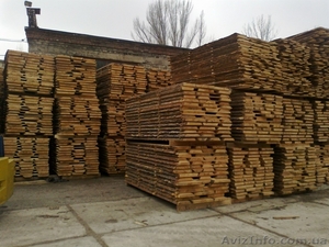 сосна столярная  #653070