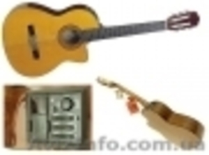 Takamine EG124C #673433