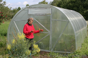 ПОЛЬША - женщины для работы в теплицах #654337