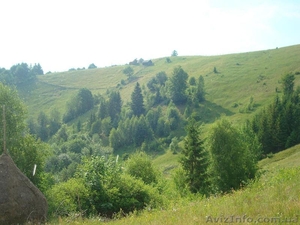 Продам ділянку в Карпатах - Косів,  село Річка #652675