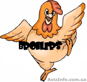 Мы продаем  курей бройлеров живым весом #679622