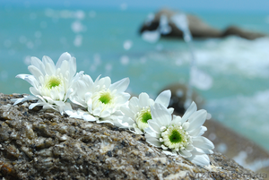 СРОЧНО продам земельный участок на Арбатской стрелке 2 га #700987