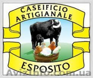 Настоящая Моцарелла  #676641