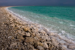 Продам замечательный участок на берегу Азовского моря #700870