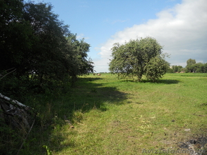 Продається будинок в с. Вересочі #697582