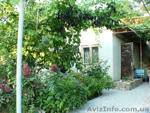 Сдаю жильё в Феодосии, частный сектор и квартиры. #699118