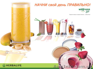 Протеиновый коктейль Гербалайф Харьков #691718