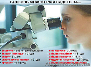 Тестирование живой капли крови  (Гемосканирование) #692279