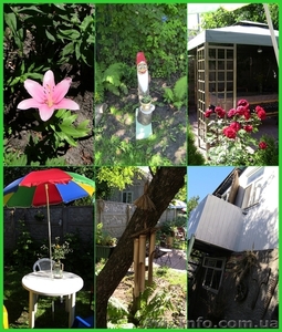 Здамо: Екологічно-оздоровча дача курортно-санітарного типу в Києві #658076