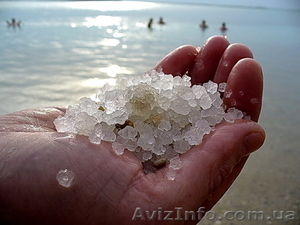 Передам корпоративные права на участок 5 га на Арбатской стрелке #701023