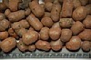 Одесса,  Андрей,  sluosarenko@gmail.com,  067 558-19-70 #675013