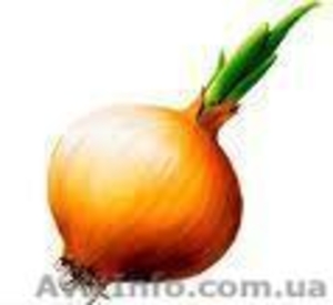 Холодильная камера в аренду (склад-холодильник) #684165