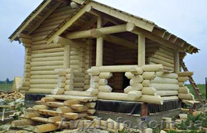 Дикий сруб в Сумах #693377