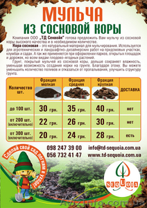 Сосновая кора Украина #695797