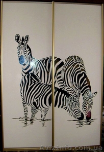 Для шкафов-купе - раздвижные,  распашные,  складывающиеся (гармошка) двери #683853