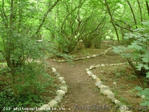 Сдаю номера,  котедж  #693949