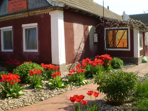 продам дом у моря с большим участком #483966