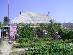 Срочно продам 2 дома на одном участке в Камышанах по ул Нижняя #677147