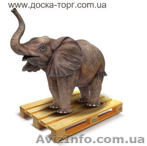 Поддоны деревянные  производство #686352