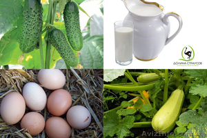 Фермерские натуральные продукты #700765