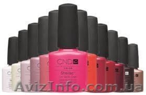 Продам Shellac 110 грн #680833