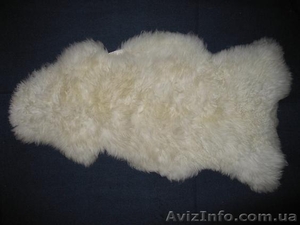 Продаеться шкура баранов #675165