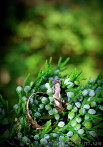 фотосъемка свадьбы #443852