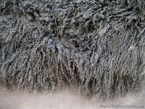 ковер Angelo 100% шерсть ламы #679684