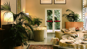 Противопожарная итальянская остекленная дверь Visual #697590