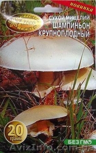 мицелий шампиньонов порошковый #714531